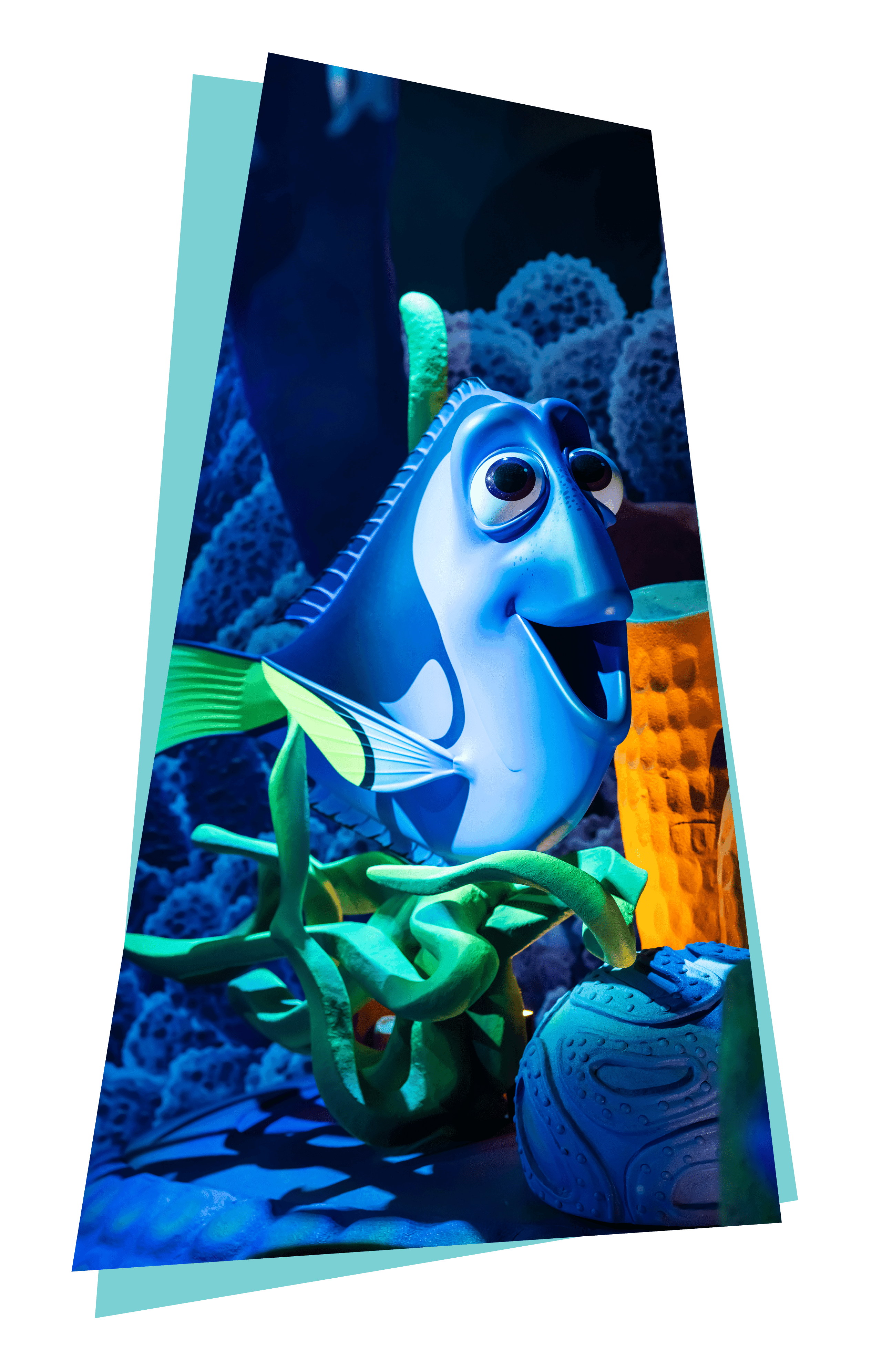 Dori Front